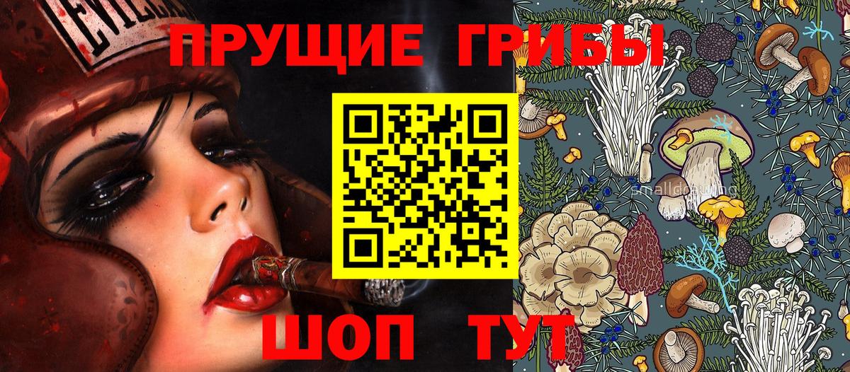 Псилоцибиновые грибы Magic Shrooms  Вход с VPN  закладки  Гай 