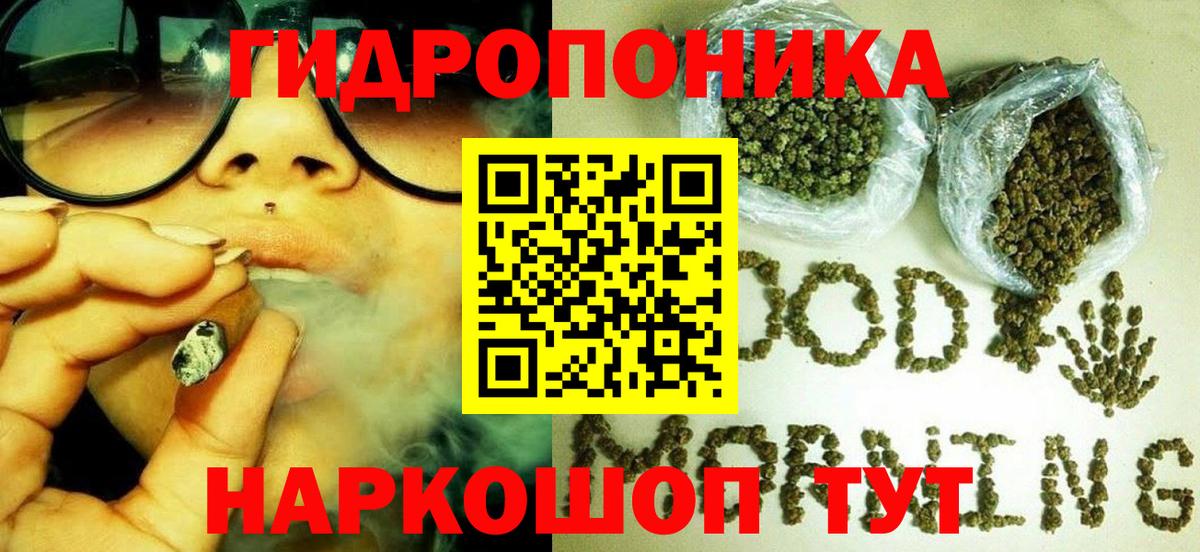 Шишки марихуана Ganja Гай